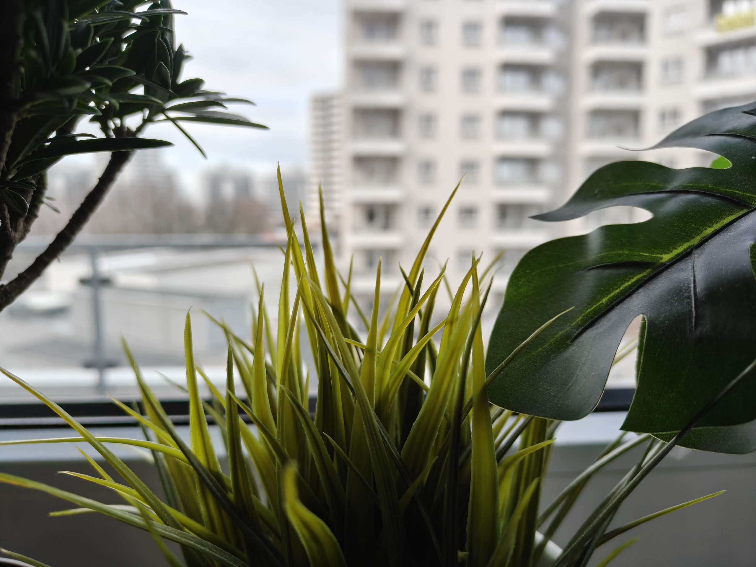 Zdjęcia makro - realme GT7 Pro