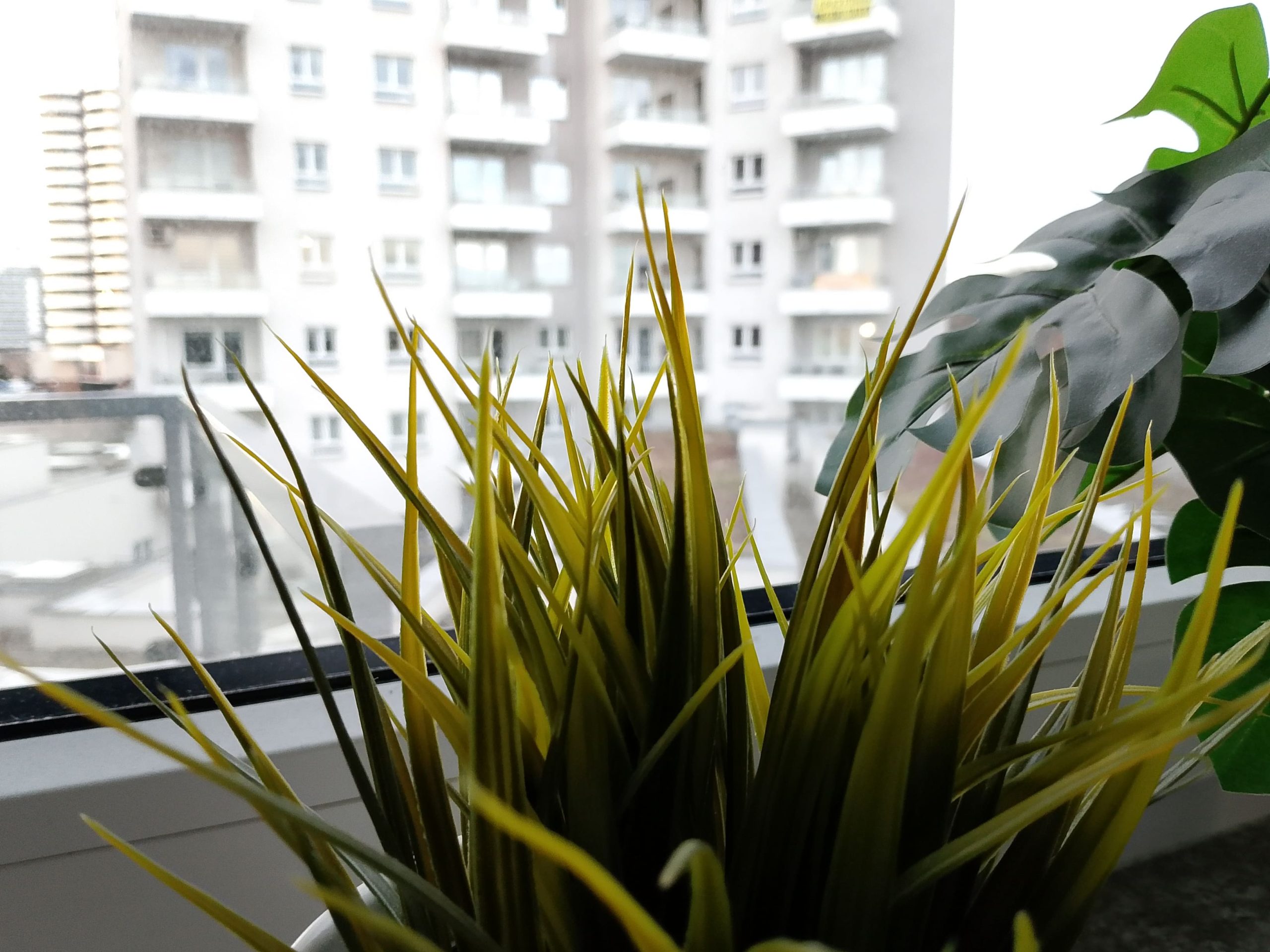 Zdjęcia makro - realme Note 60