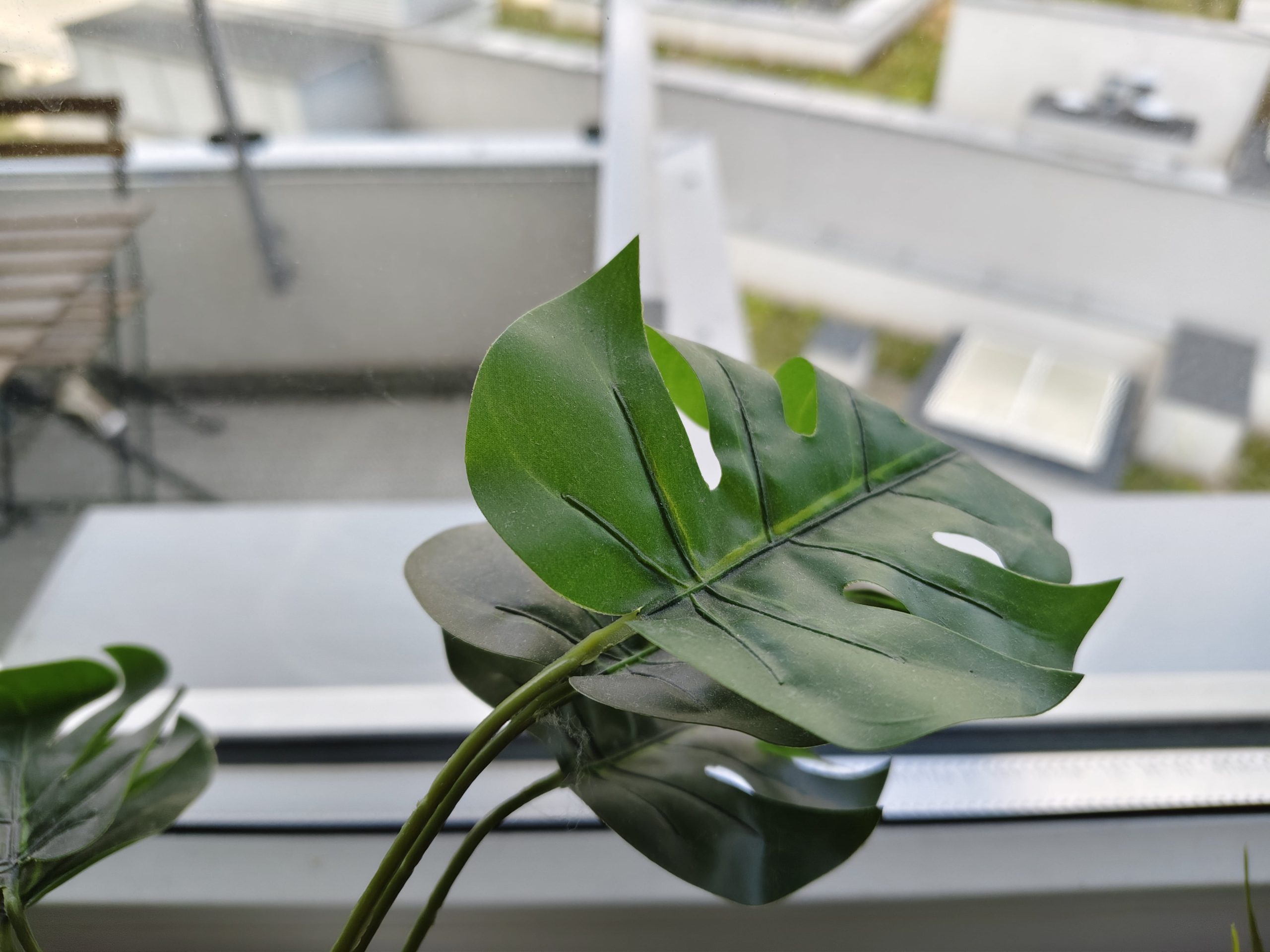 Zdjęcia makro - vivo V50