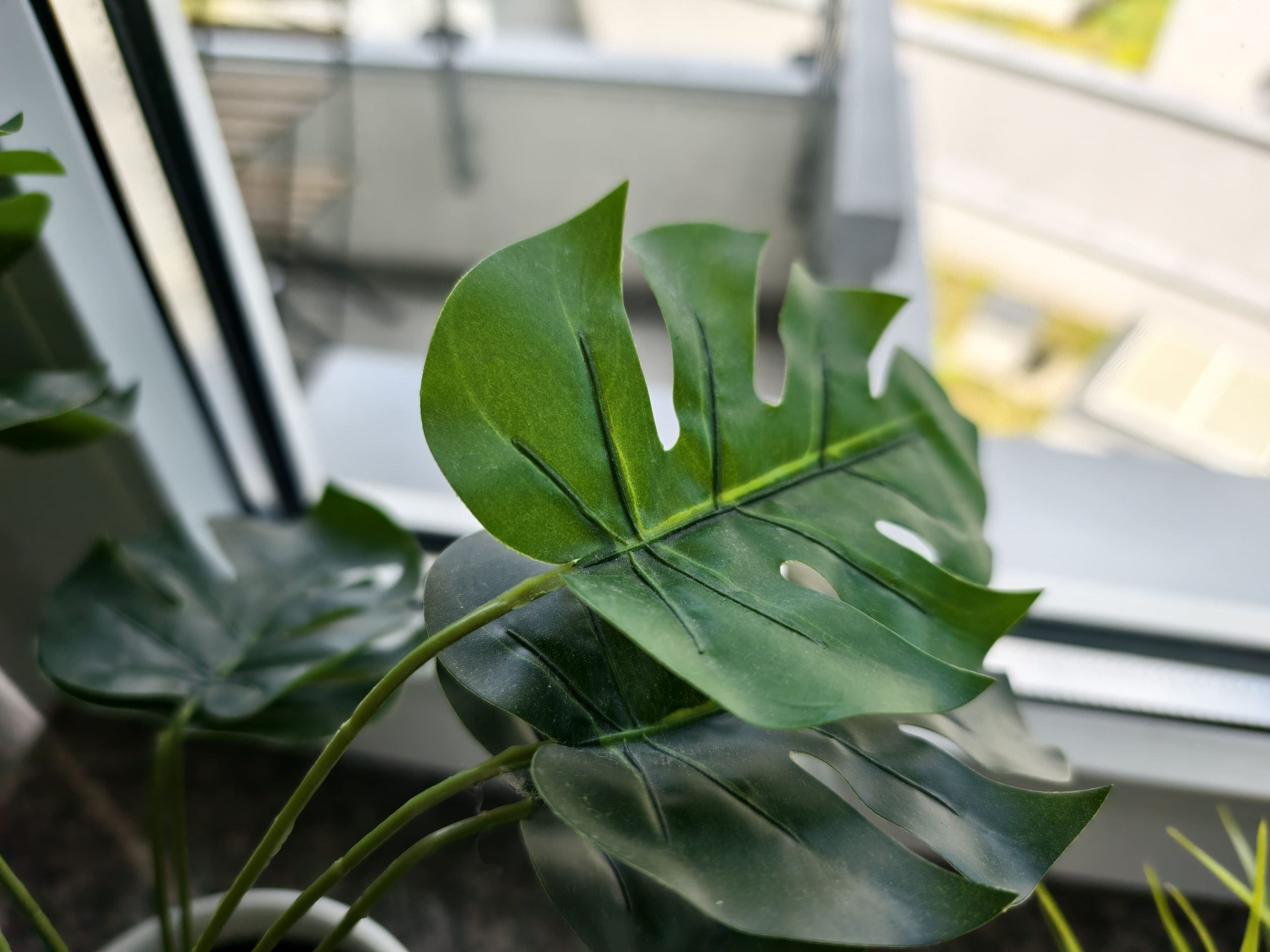 Zdjęcia makro - vivo X200 Pro
