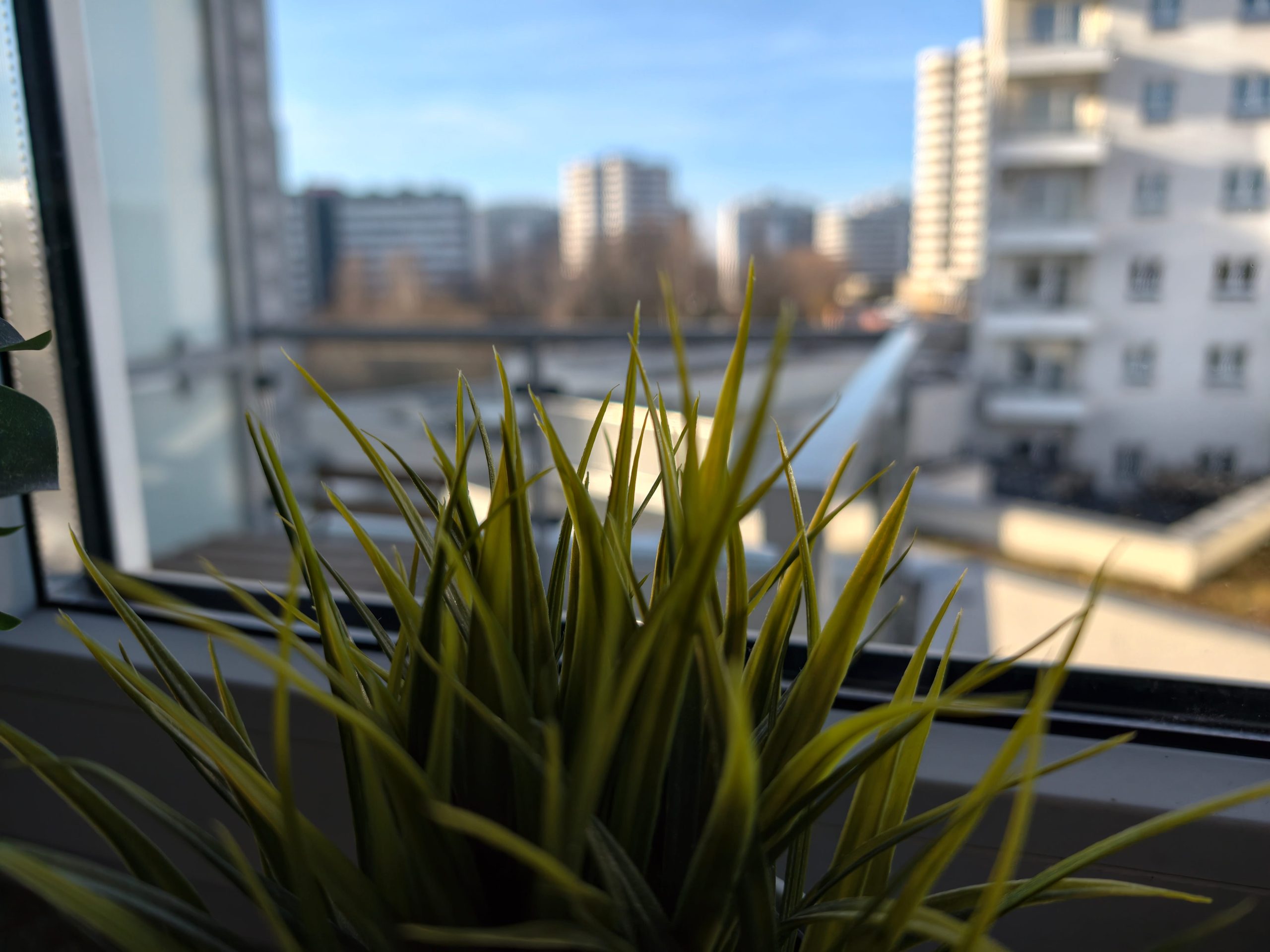 Zdjęcia makro - vivo X300 Pro Zdjęcia makro - vivo X300 Pro