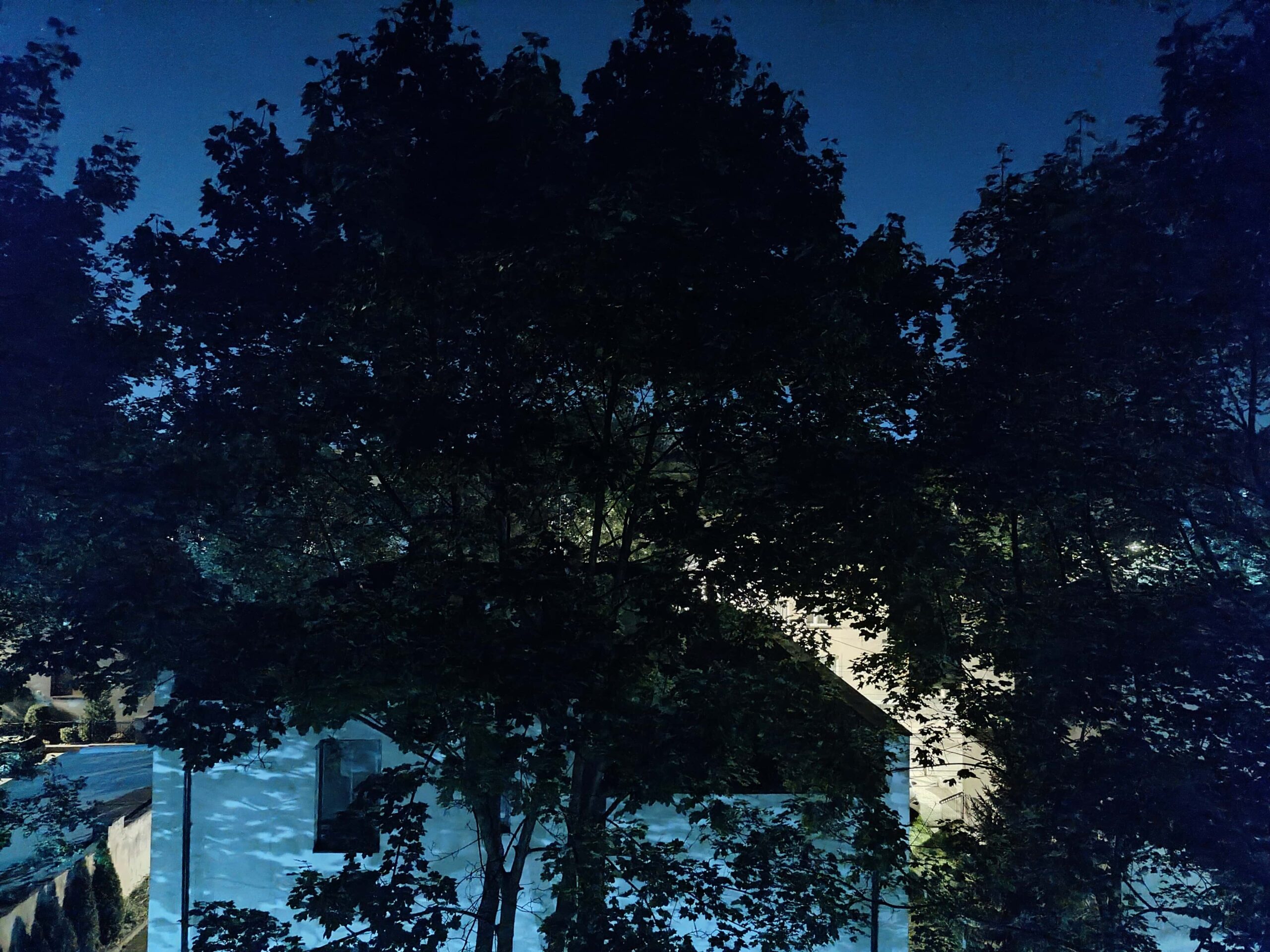 Zdjęcia nocne - Zenfone 10