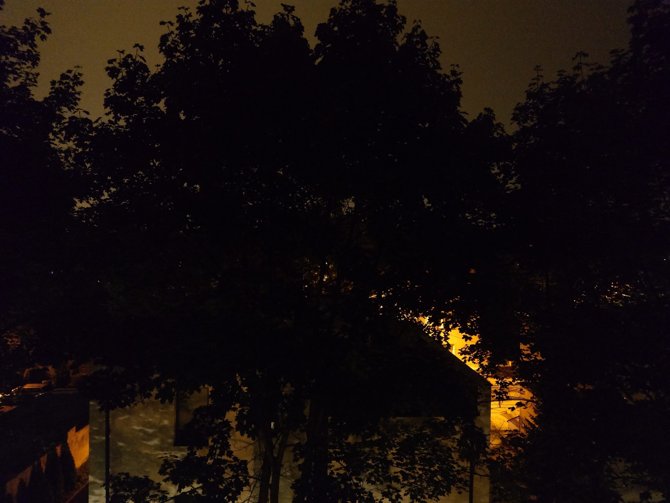 Zdjęcia nocne - Sony Xperia 1 V