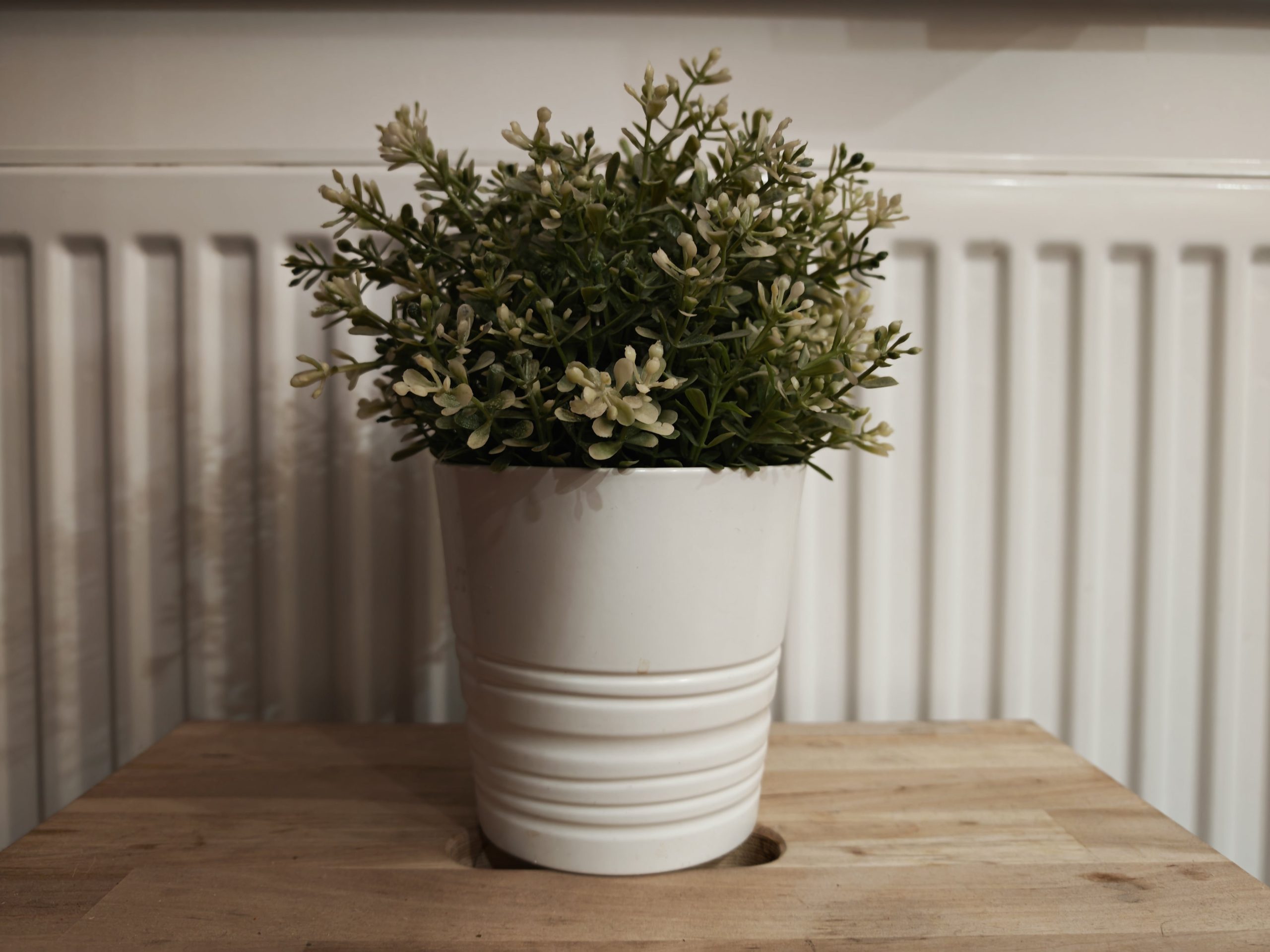 Zdjęcia w pomieszczeniu - HONOR Magic7 Pro