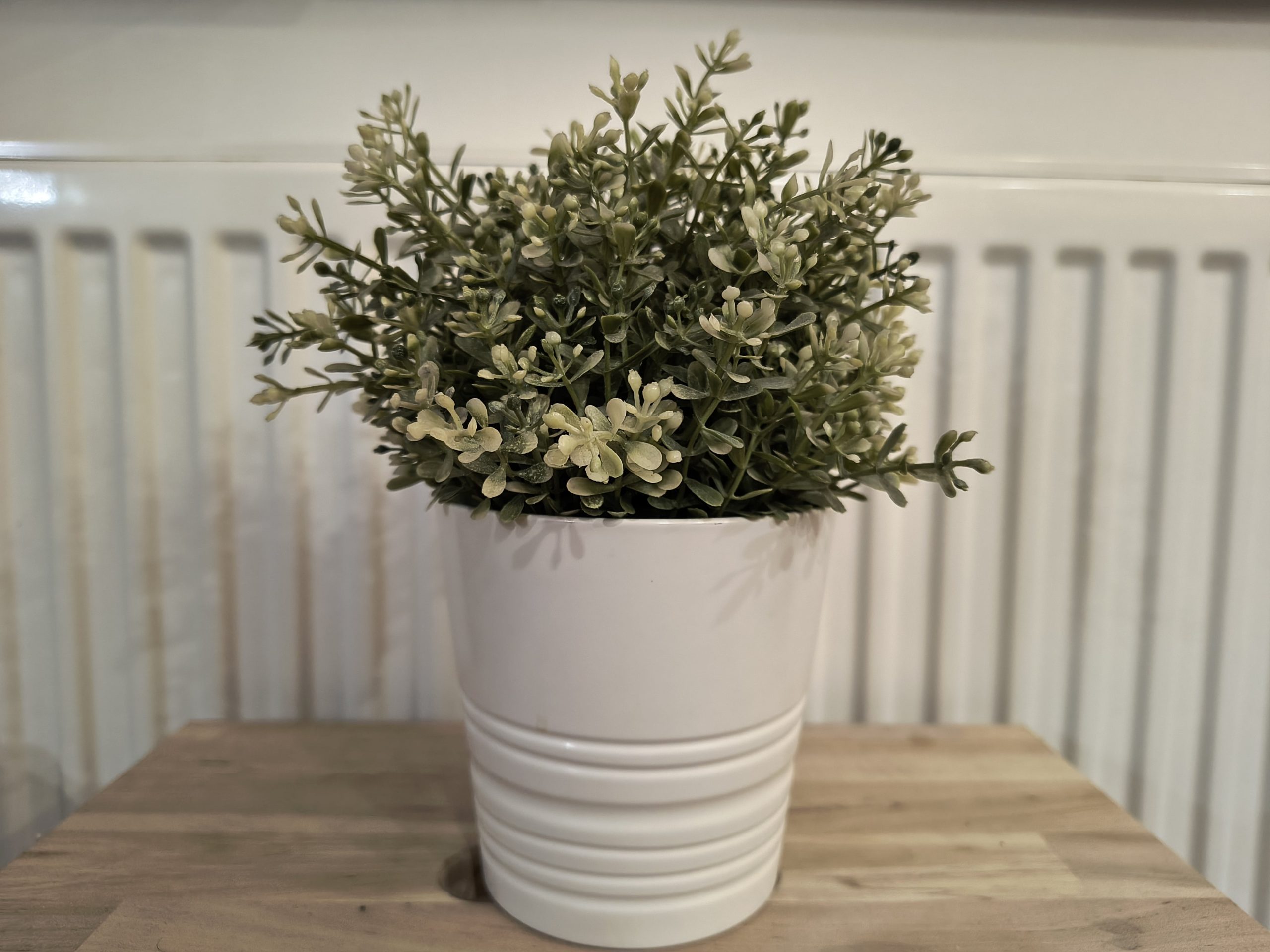 Zdjęcia w pomieszczeniu - Motorola Edge 50 Neo