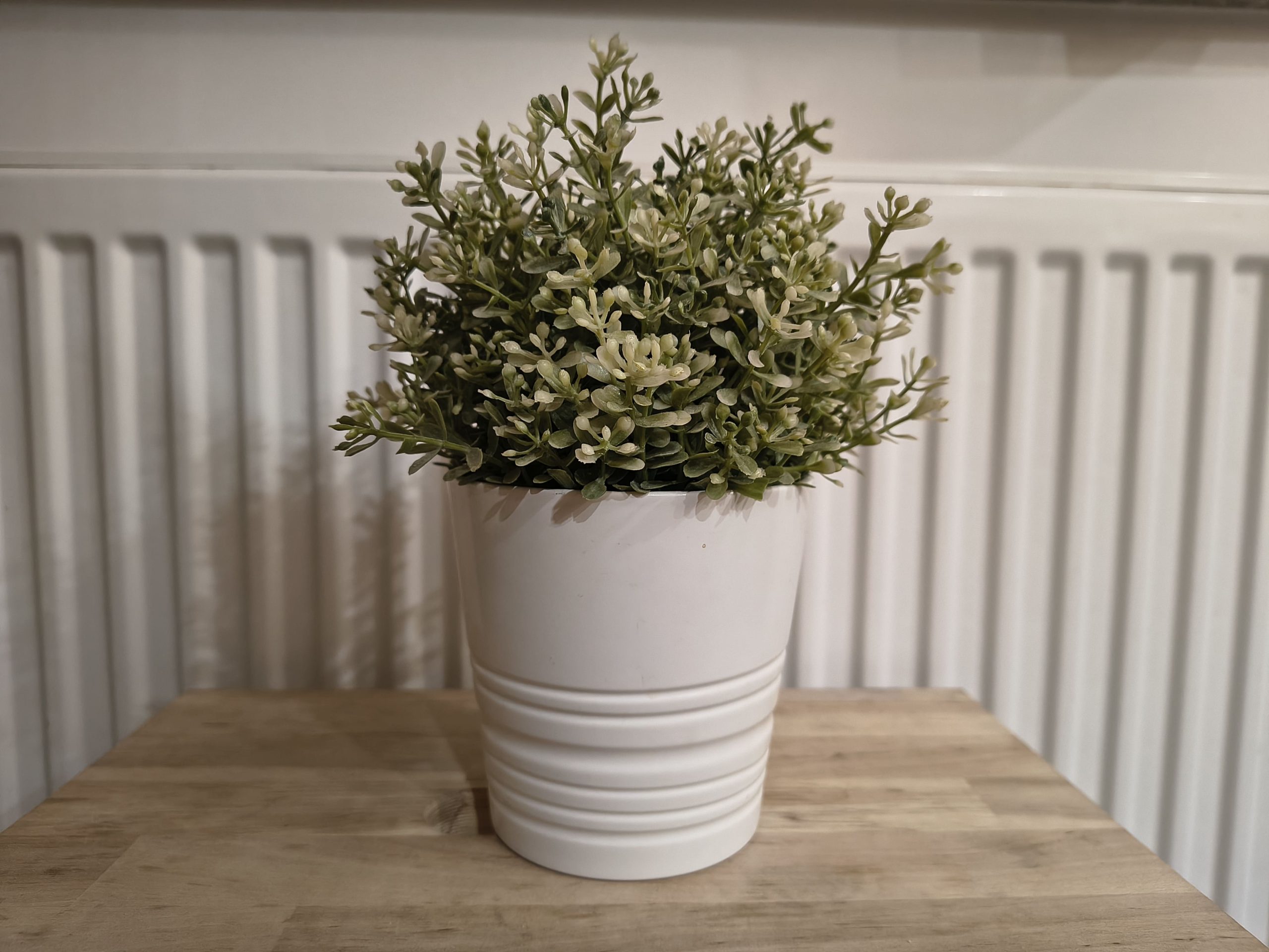 Zdjęcia w pomieszczeniu - Motorola Edge 60