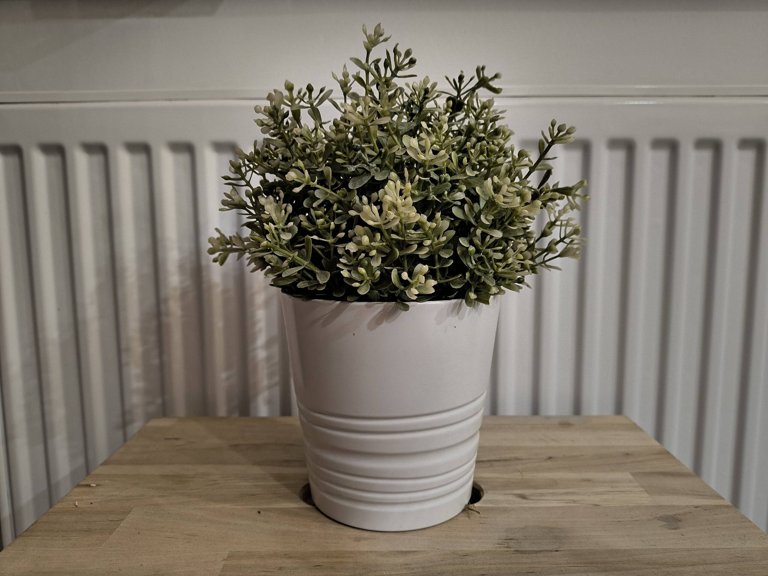 Zdjęcia w pomieszczeniu - Motorola Razr 50