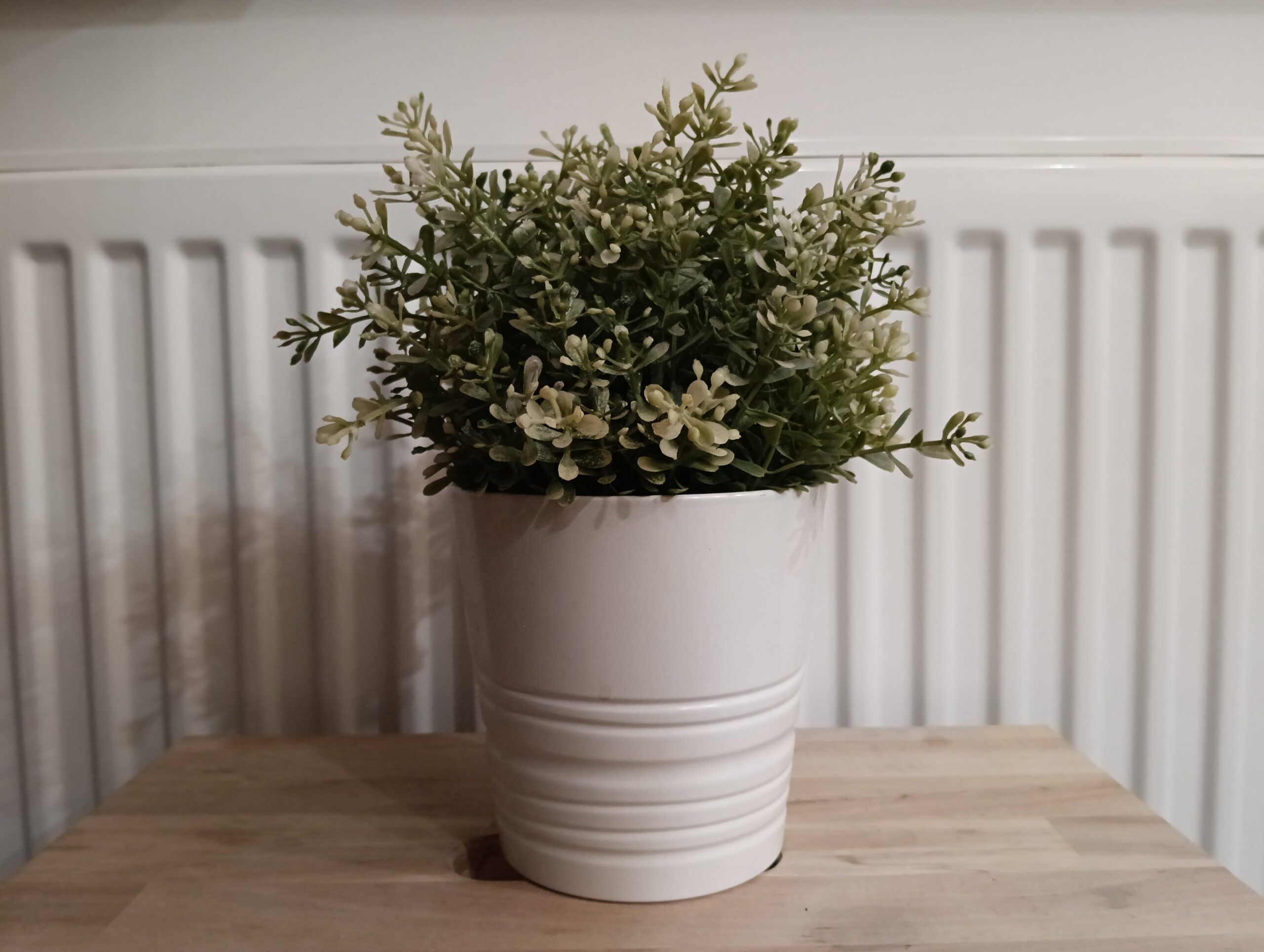 Zdjęcia w pomieszczeniu - OPPO Reno12 F