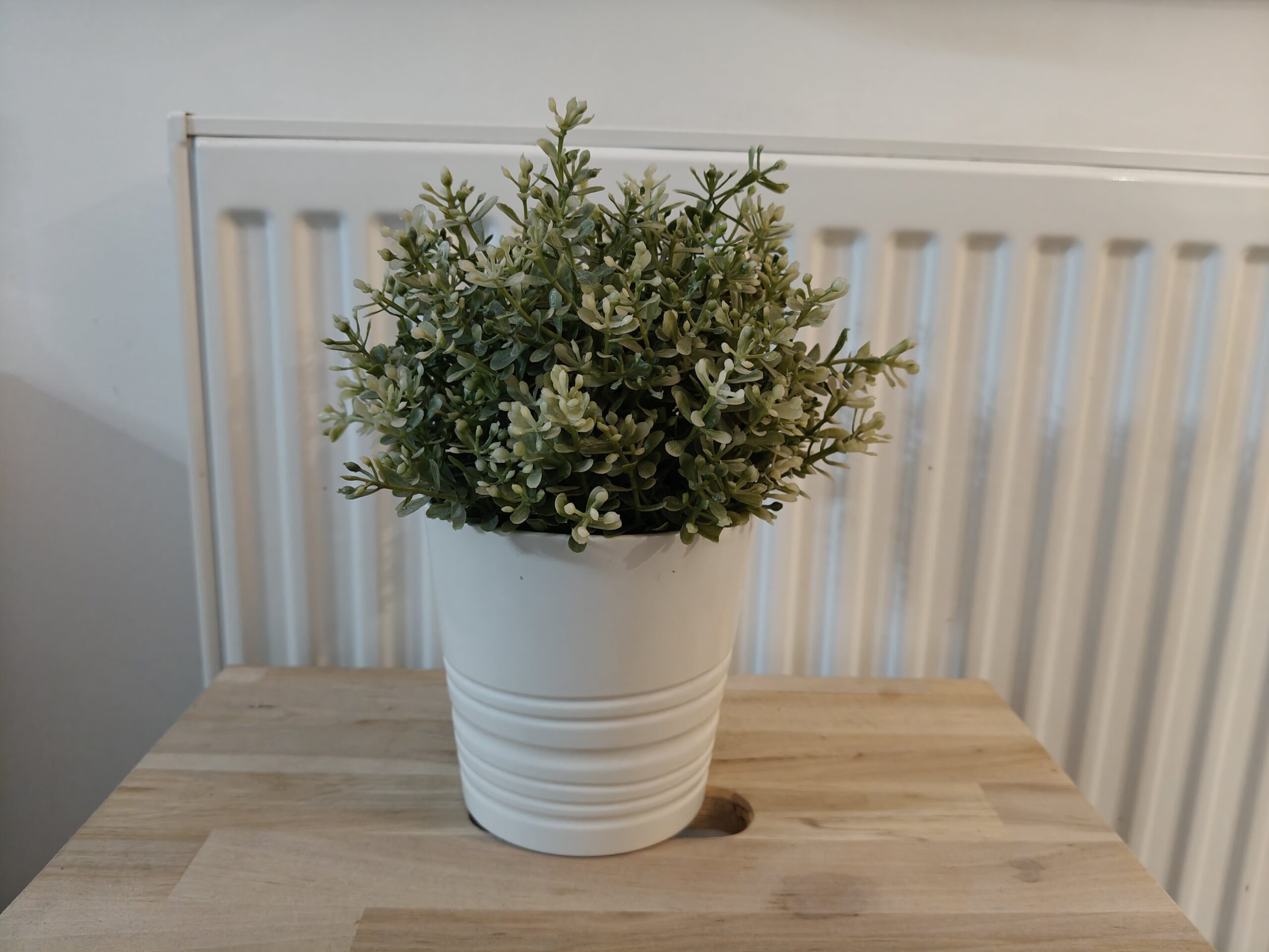 Zdjęcia w pomieszczeniu - OnePlus Nord 4 Zdjęcia w pomieszczeniu - OnePlus Nord 4