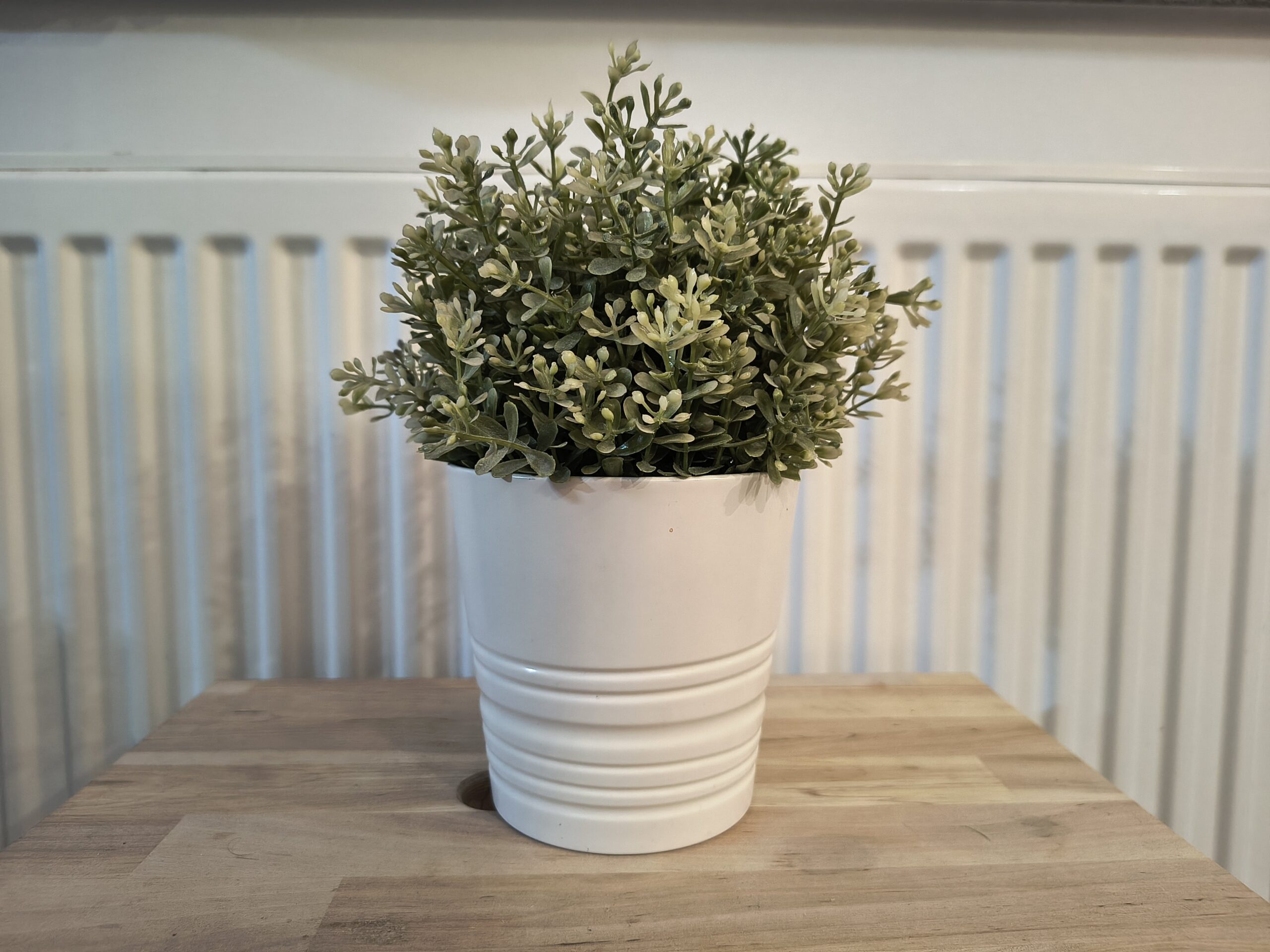 Zdjęcia w pomieszczeniu - Thinkphone 25 by Motorola