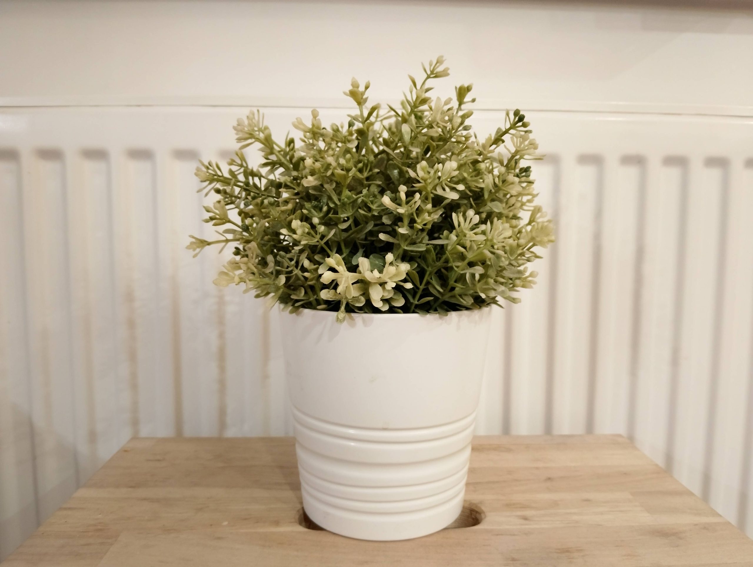 Zdjęcia w pomieszczeniu - nubia Neo 2