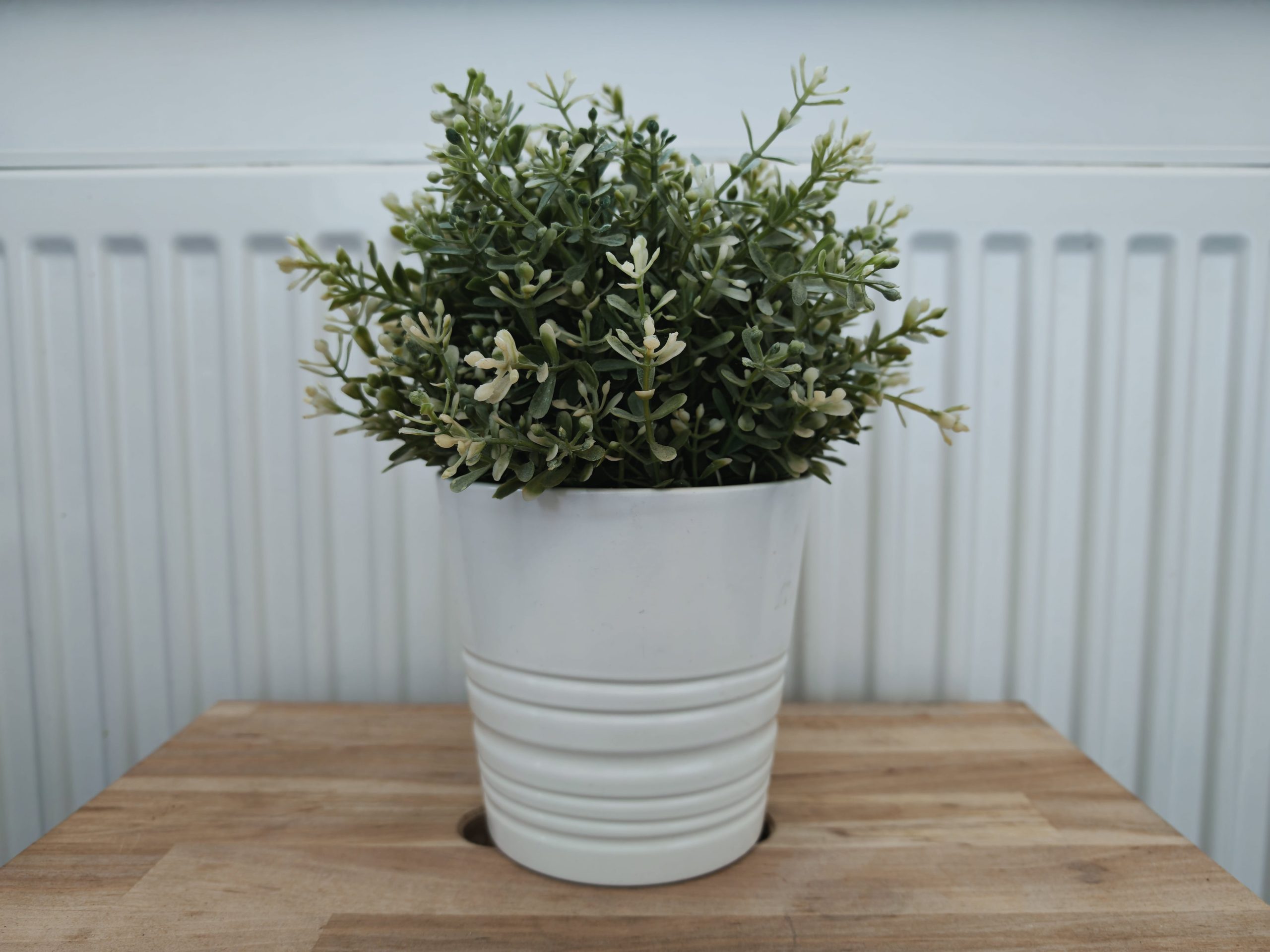 Zdjęcia w pomieszczeniu - HONOR Magic7 Pro