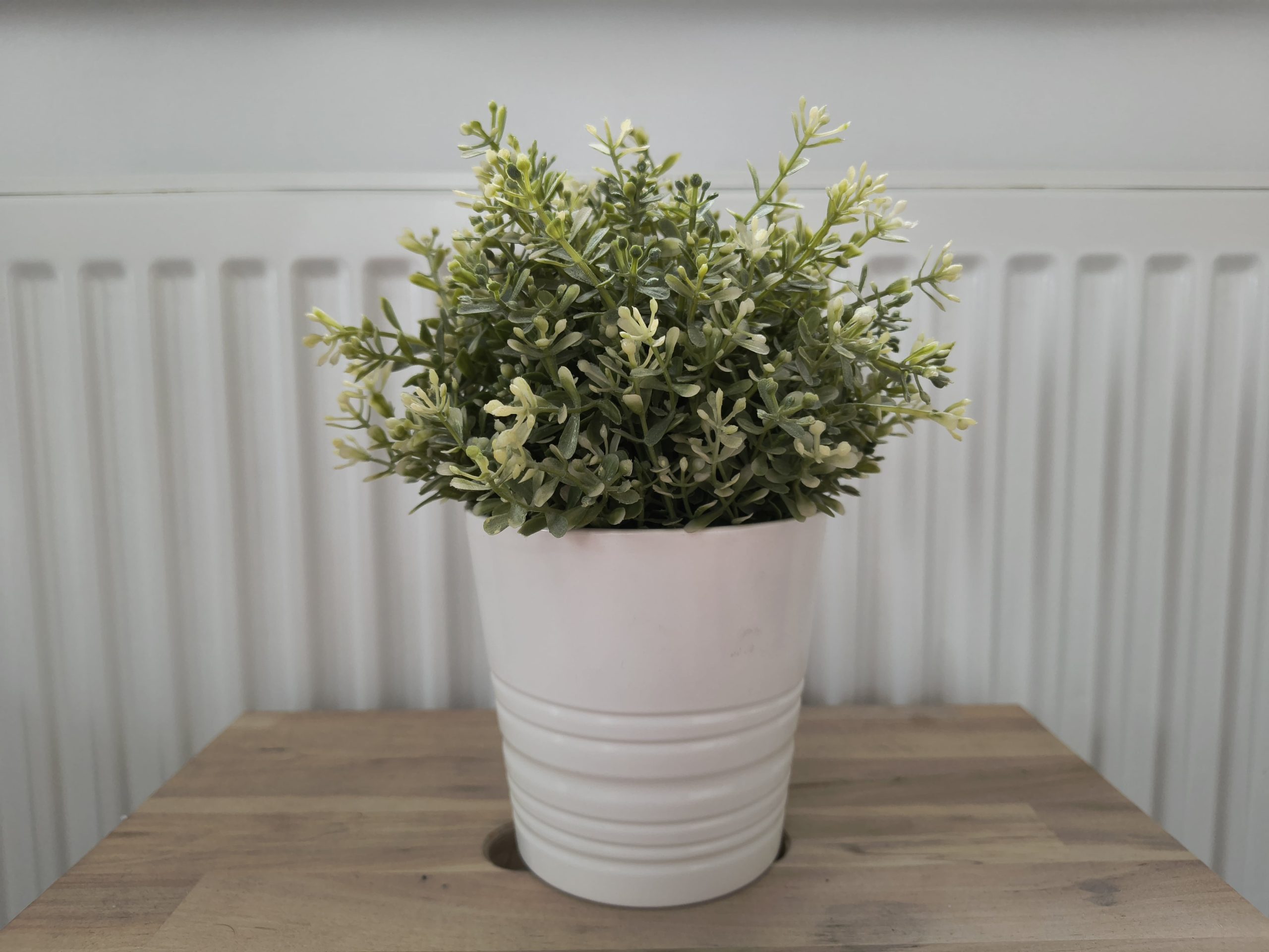 Zdjęcia w pomieszczeniu - Motorola Edge 50 Neo