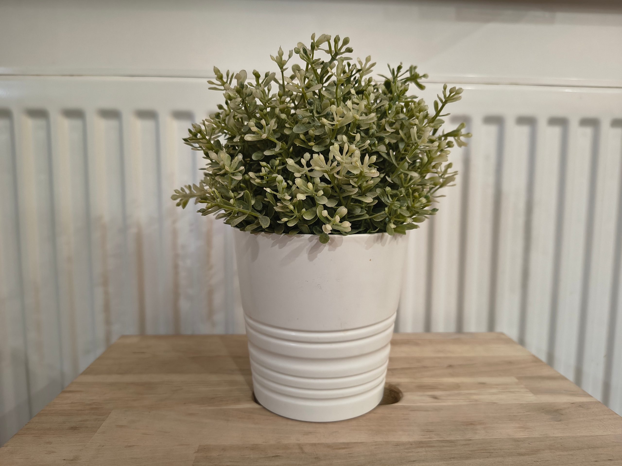 Zdjęcia w pomieszczeniu - Motorola Edge 60 Fusion Zdjęcia w pomieszczeniu - Motorola Edge 60 Fusion