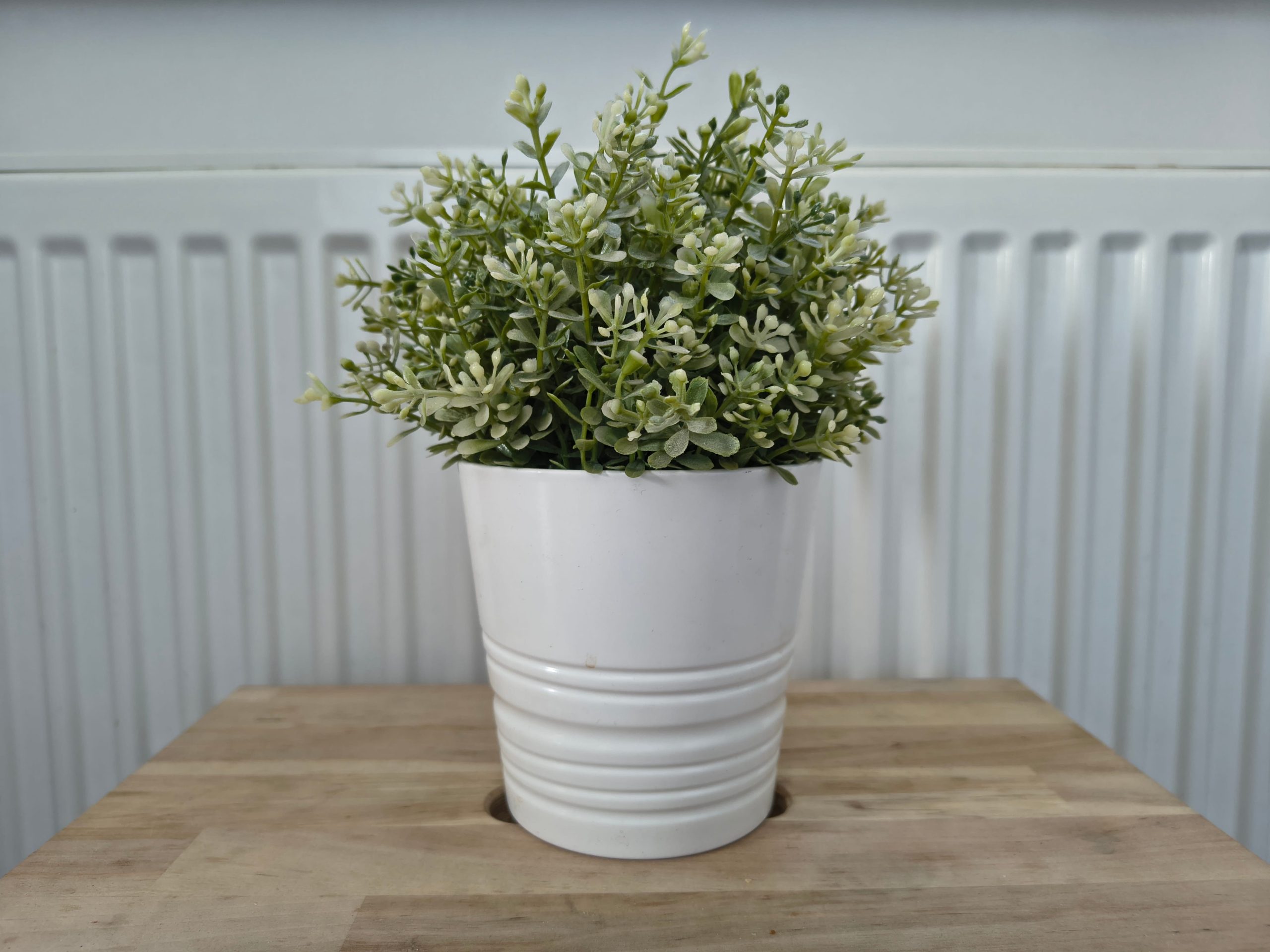 Zdjęcia w pomieszczeniu - Motorola Edge 60 Fusion Zdjęcia w pomieszczeniu - Motorola Edge 60 Fusion