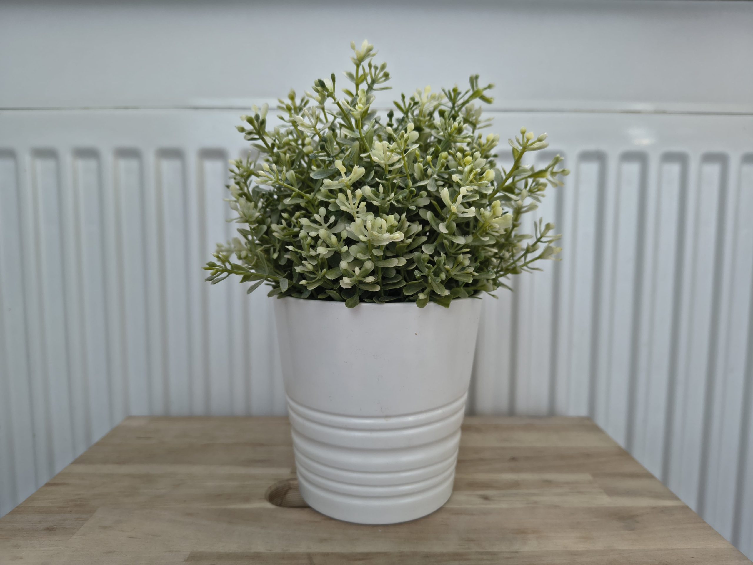 Zdjęcia w pomieszczeniu - Motorola Edge 60