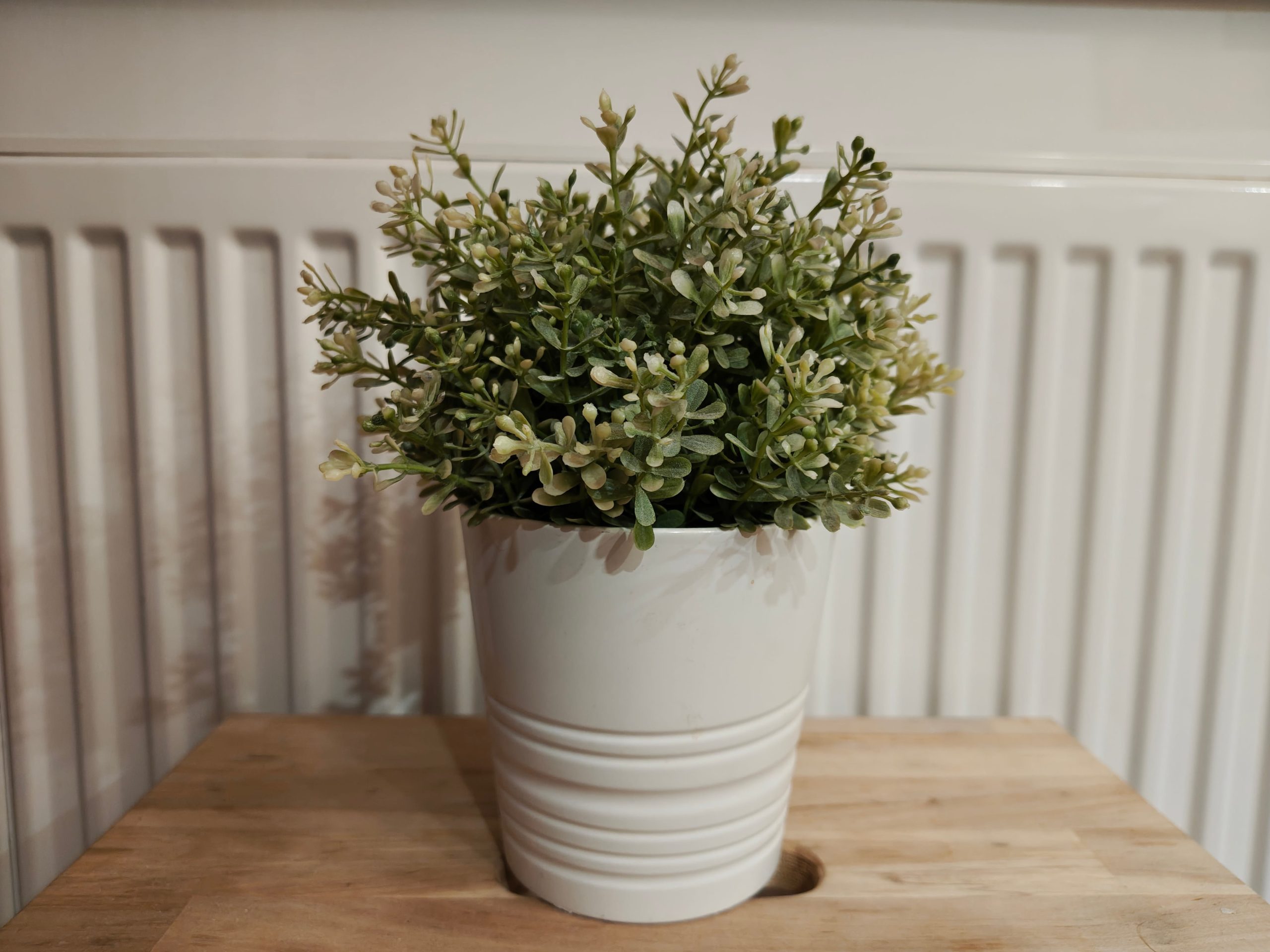 Zdjęcia w pomieszczeniu - Motorola Edge 70