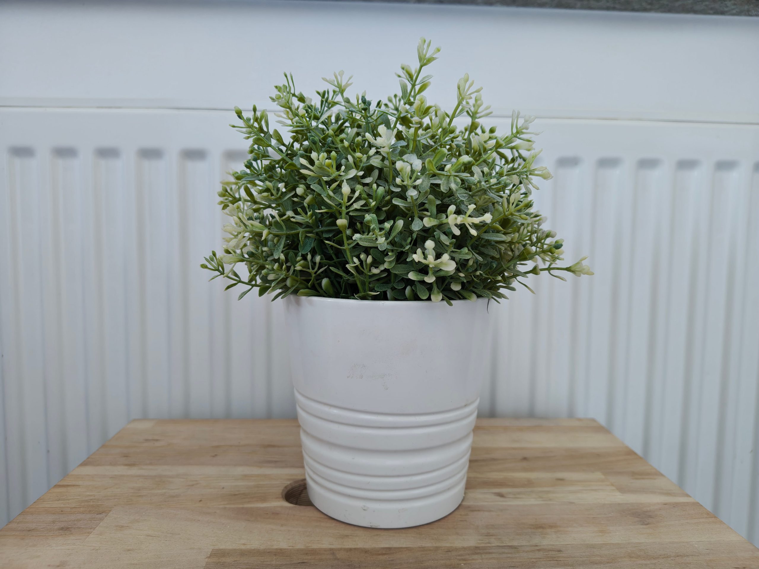 Zdjęcia w pomieszczeniu - Motorola Edge 70