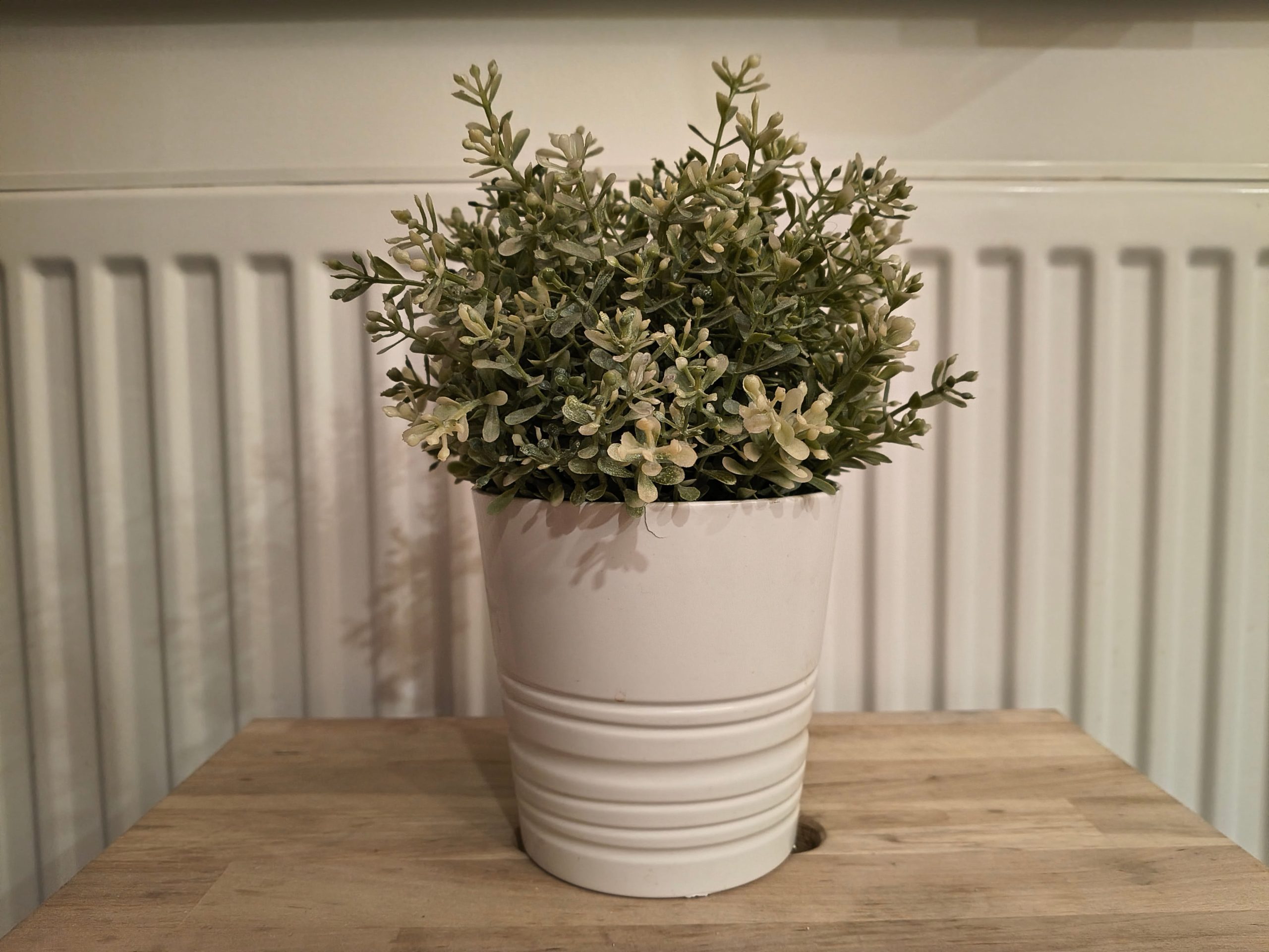 Zdjęcia w pomieszczeniu - Motorola Moto G86