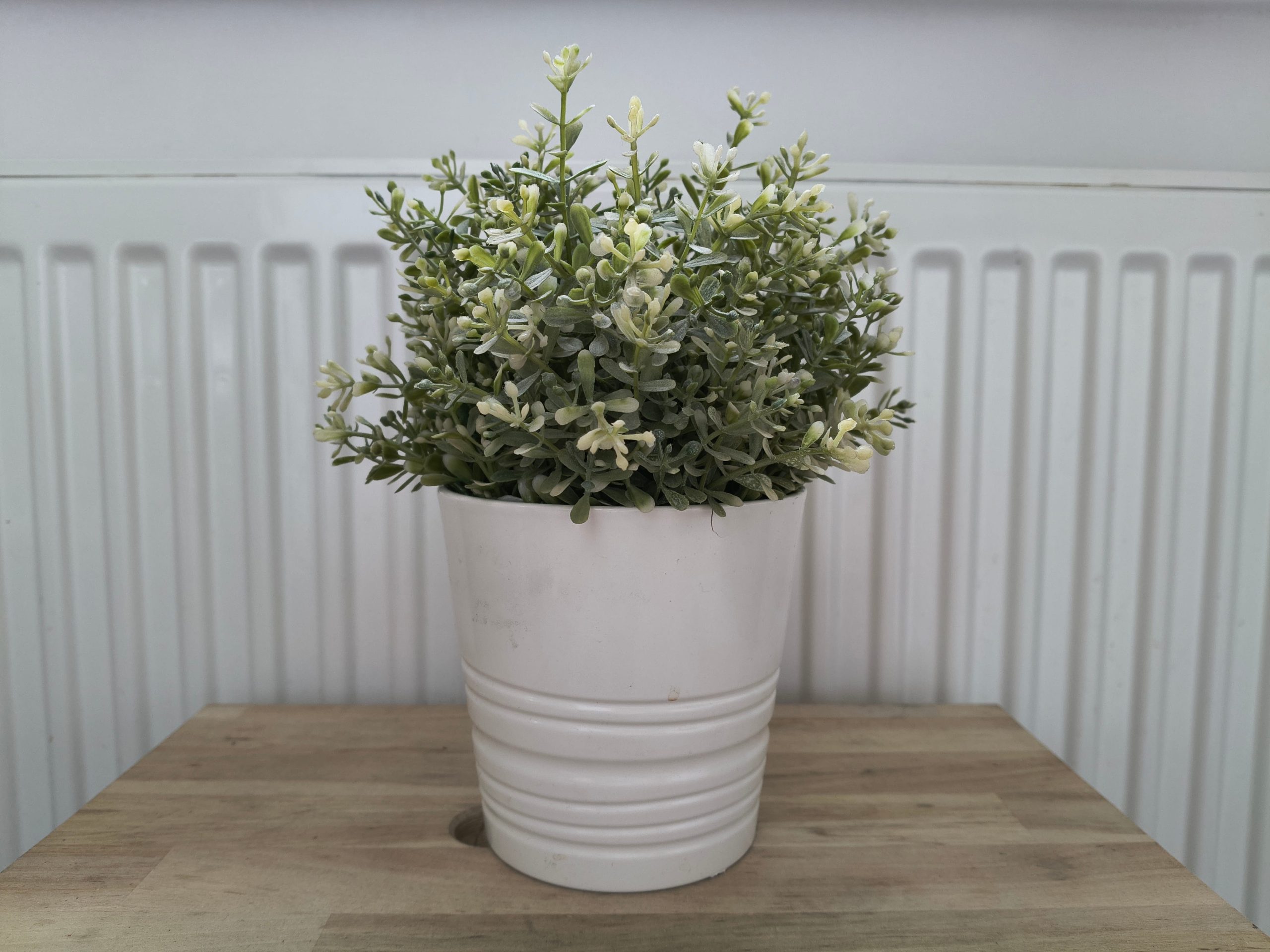 Zdjęcia w pomieszczeniu - Motorola Moto G86