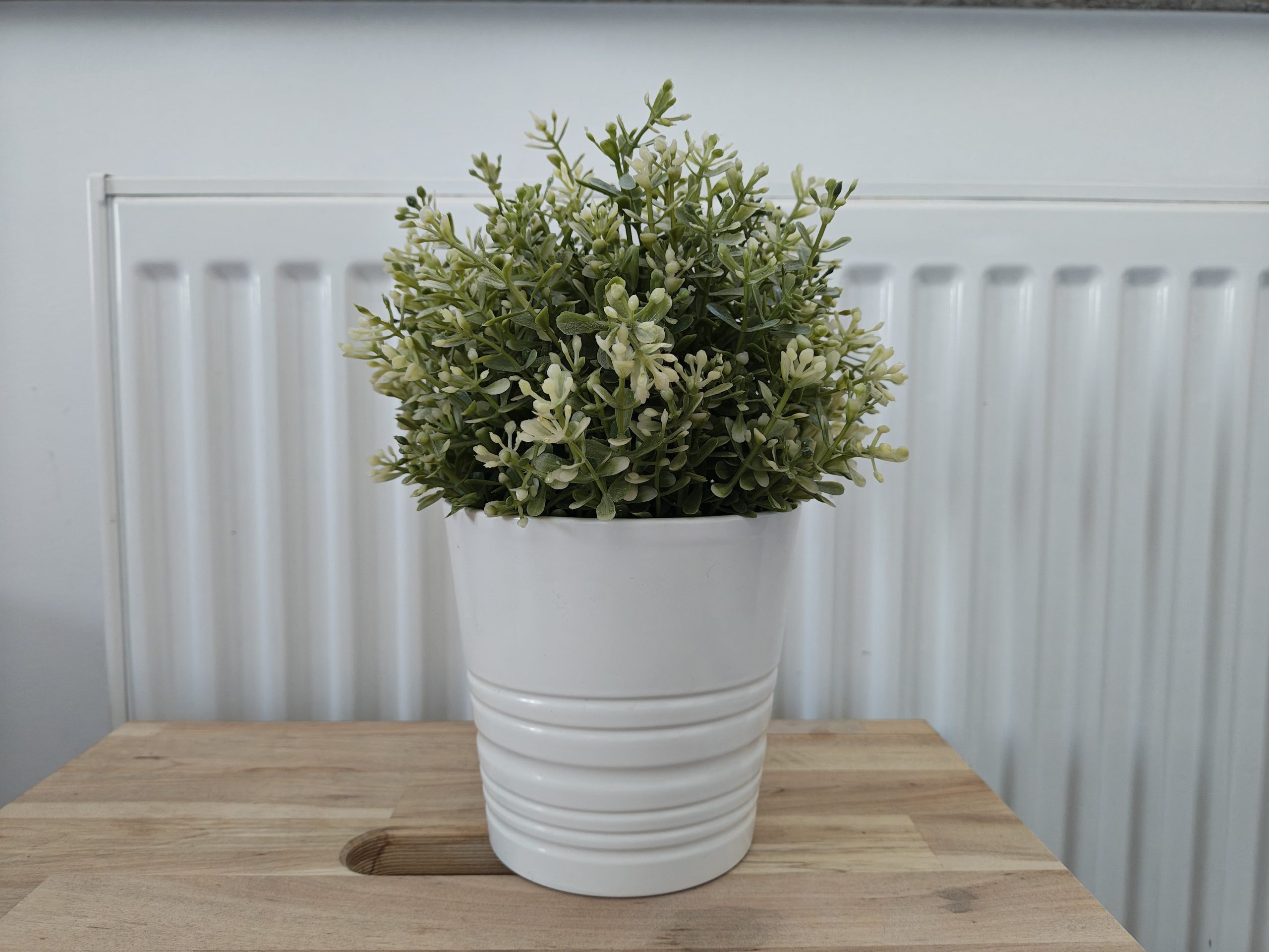 Zdjęcia w pomieszczeniu - Motorola Razr 50 Ultra