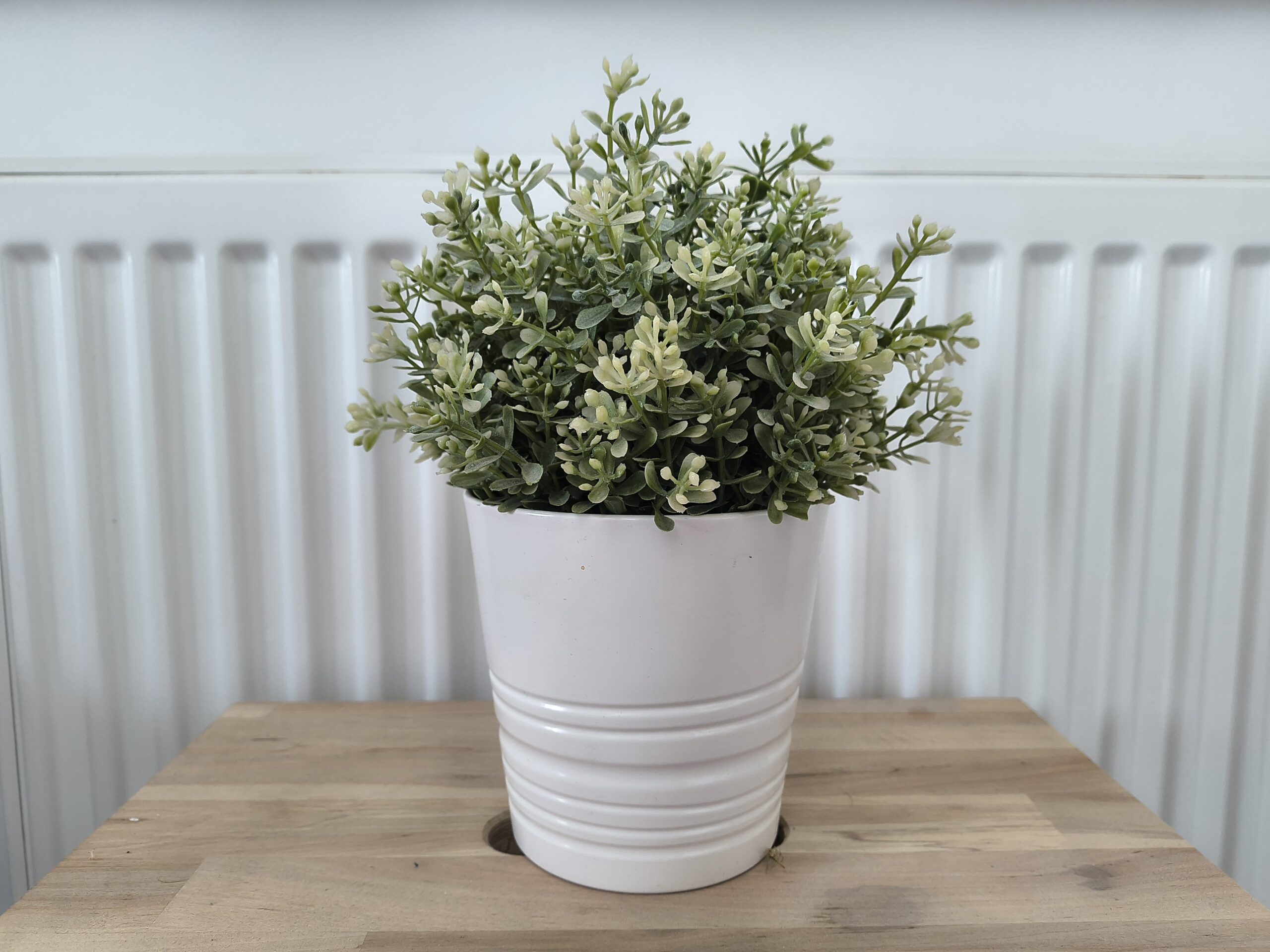 Zdjęcia w pomieszczeniu - Motorola Razr 50