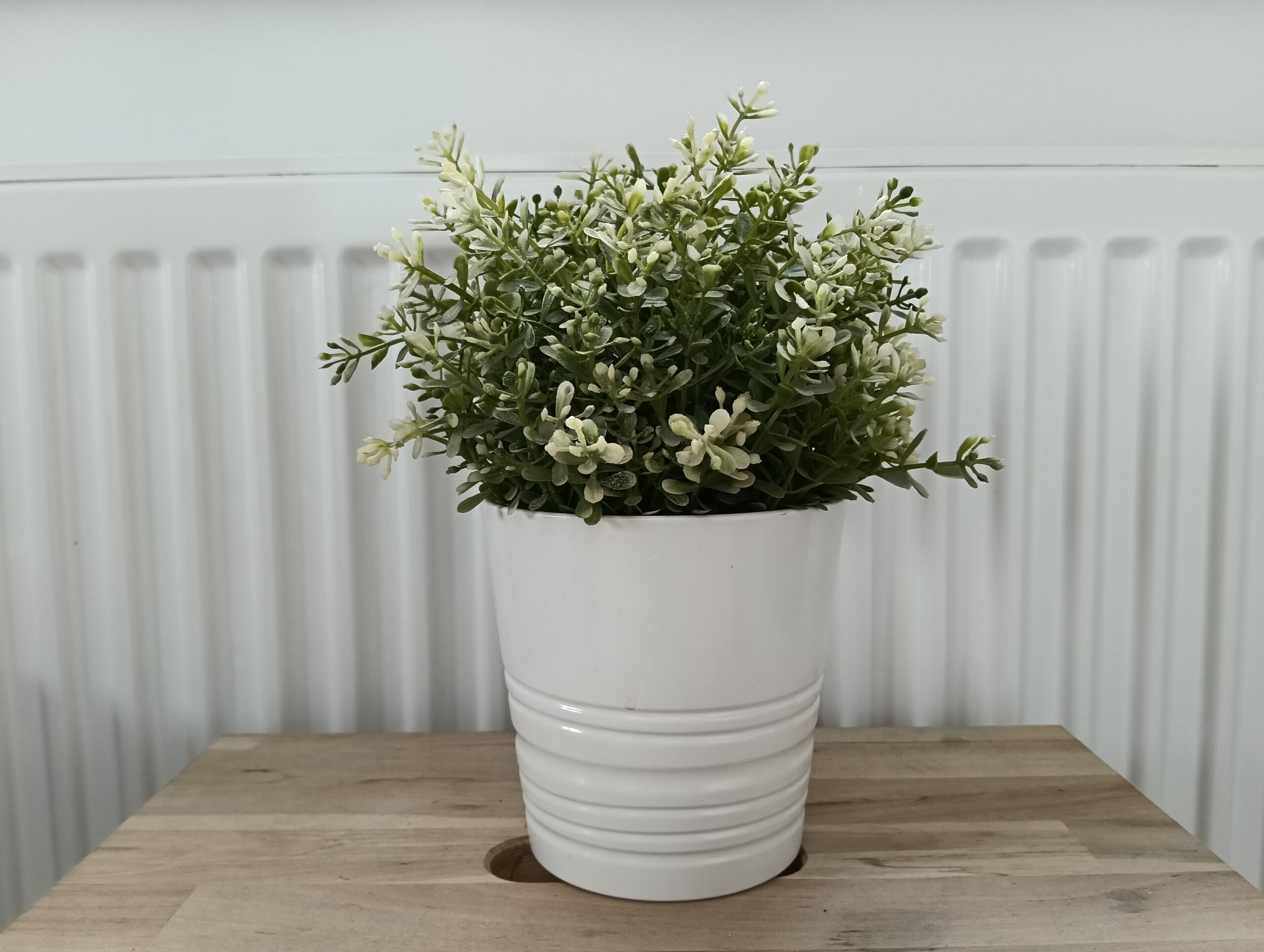 Zdjęcia w pomieszczeniu - OPPO Reno12 F