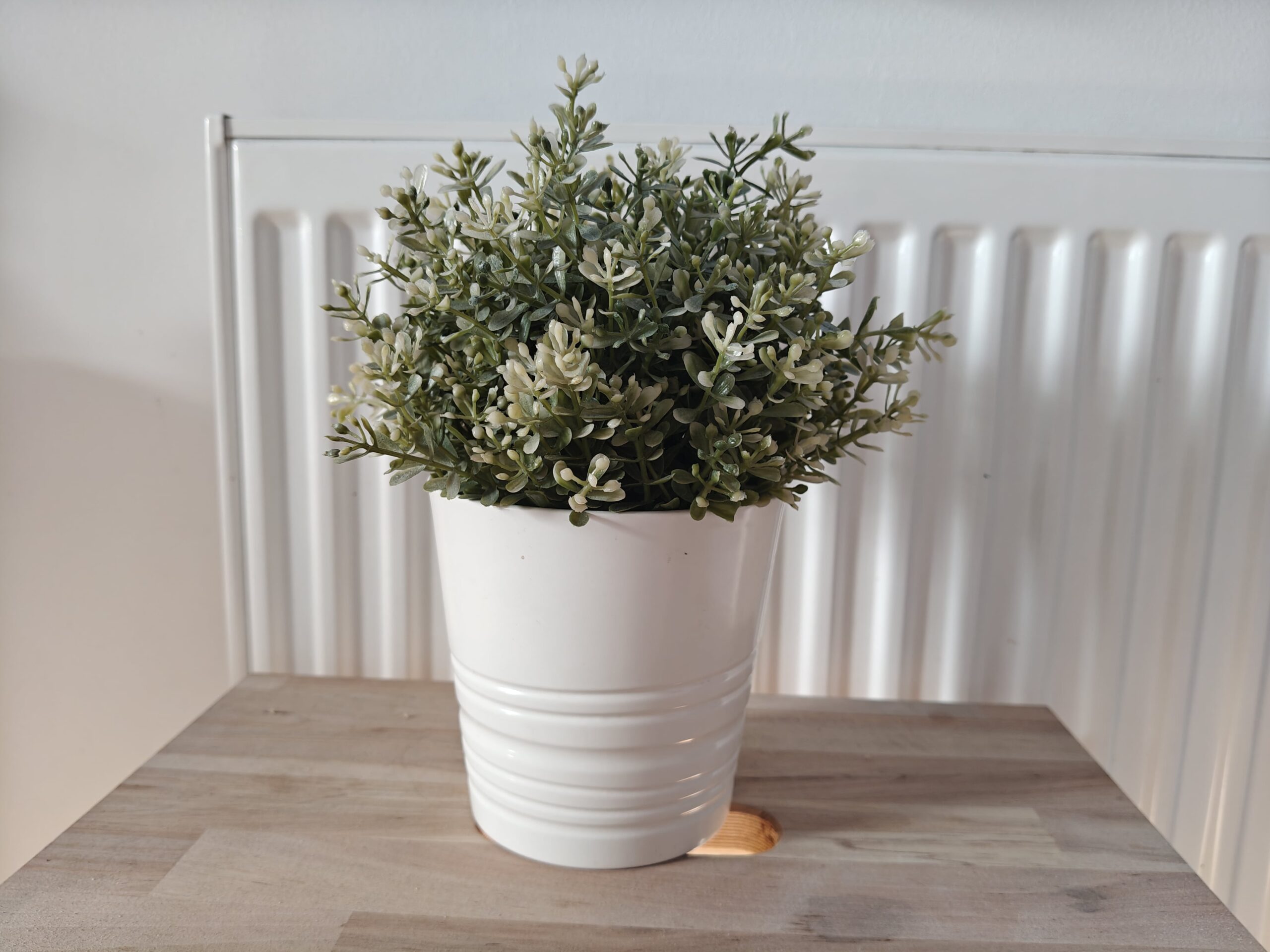 Zdjęcia w pomieszczeniu - OnePlus Nord 4 Zdjęcia w pomieszczeniu - OnePlus Nord 4