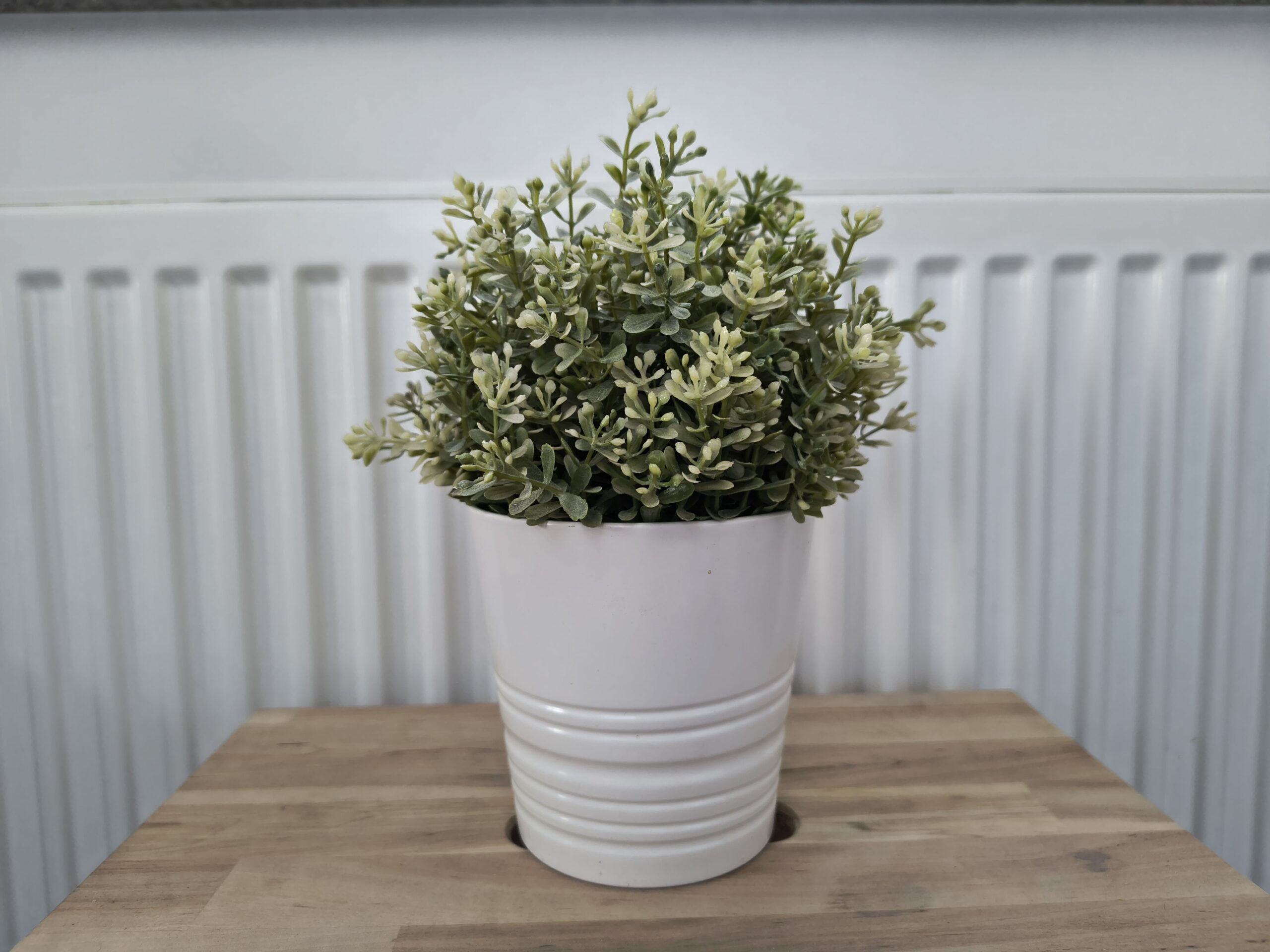 Zdjęcia w pomieszczeniu - Thinkphone 25 by Motorola