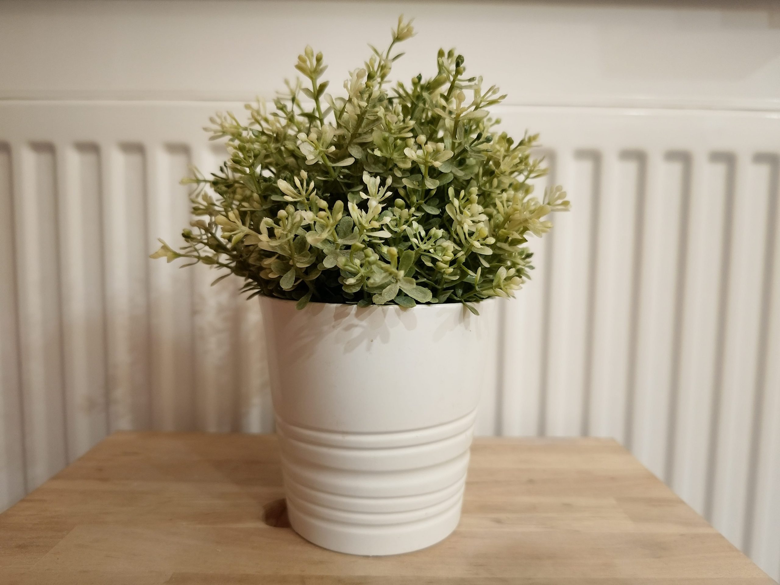 Zdjęcia w pomieszczeniu - nubia Focus 2 Ultra