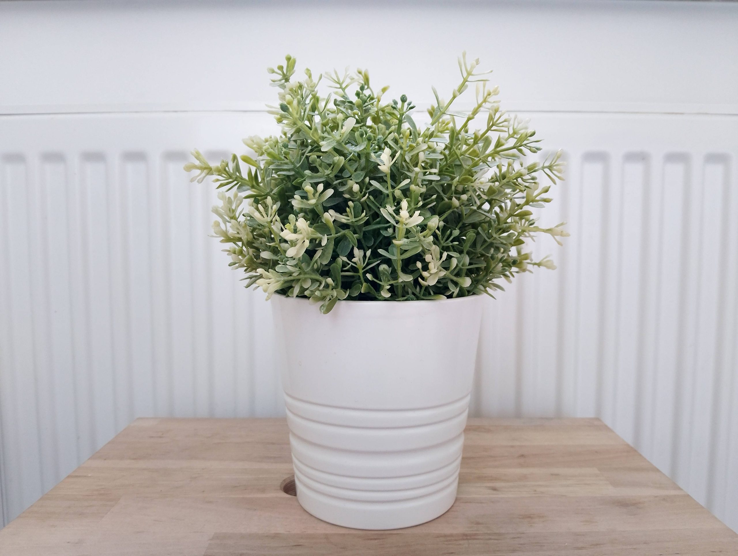 Zdjęcia w pomieszczeniu - nubia Neo 2